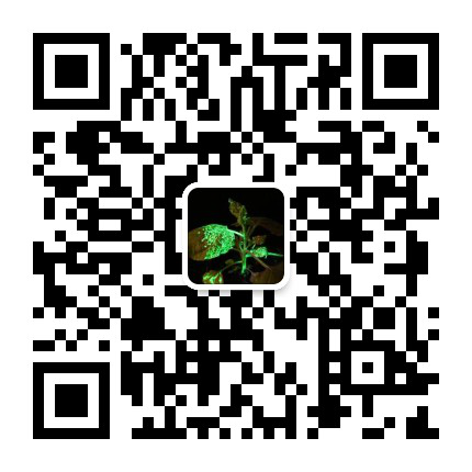 1615971450406438.png 圖片20.png