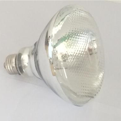 B-100係列高強度紫外線燈燈泡