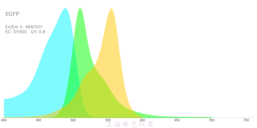 藍色激發光源用於綠色熒光蛋白激發