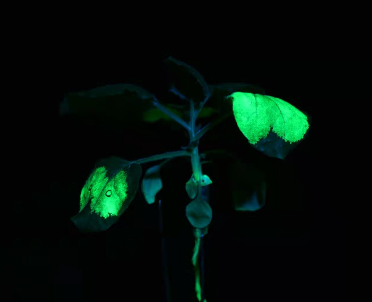 1646613022.jpg 20220307075054.jpg