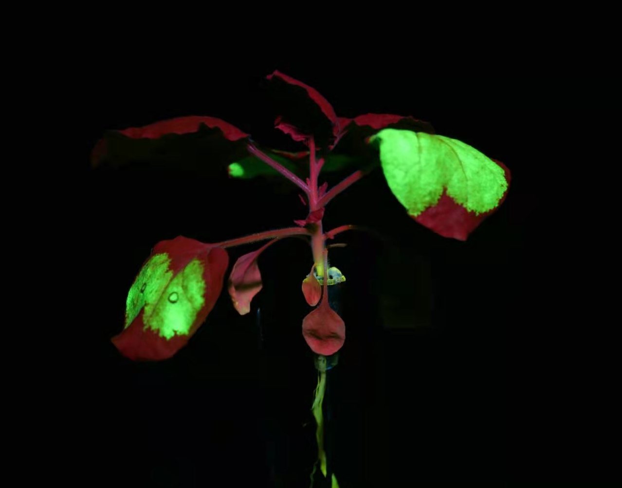 1646613033.jpg 20220307075103.jpg