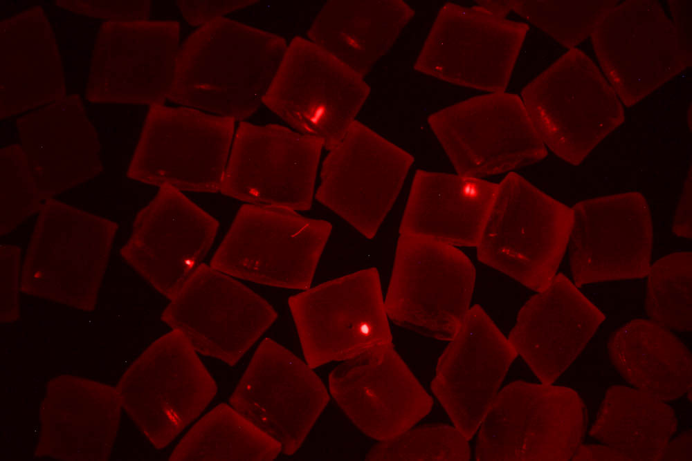 FA-GR熒光適配器綠光激發