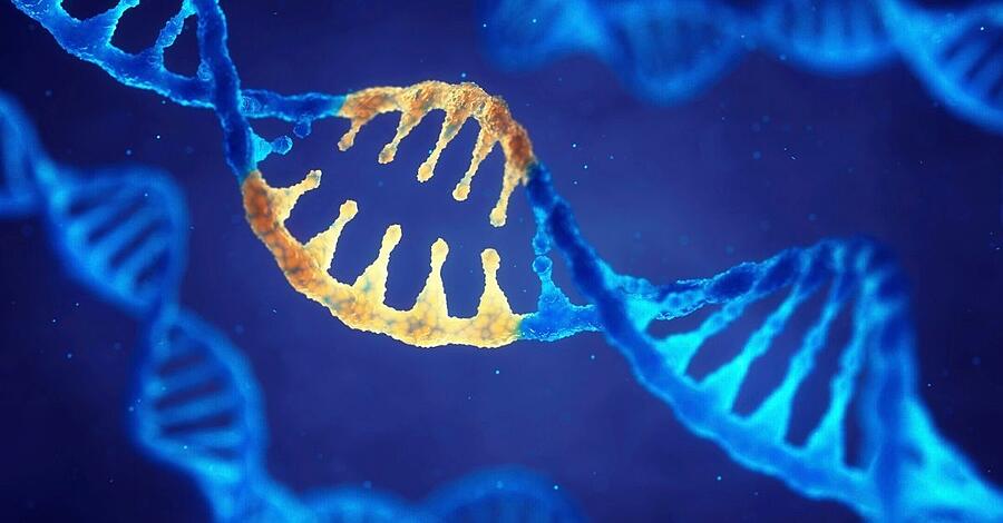 CRISPR Cas9和斑馬魚如何一起使用？