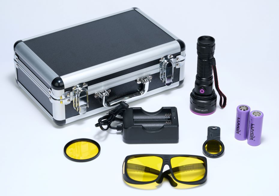 手電筒式熒光蛋白激發燈該如何選？