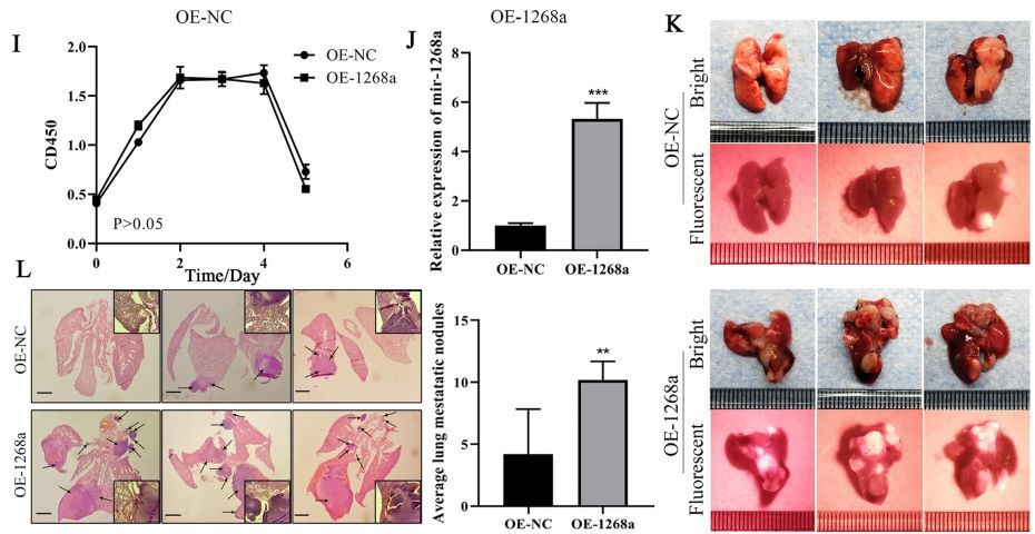 1665063413.jpg QQ圖片20221006212518.jpg